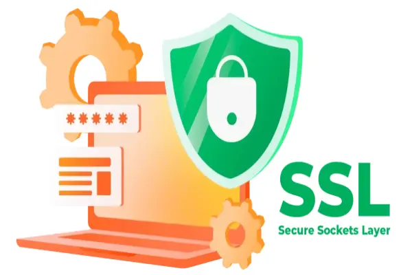 Certificado SSL DV (Domain Validation).